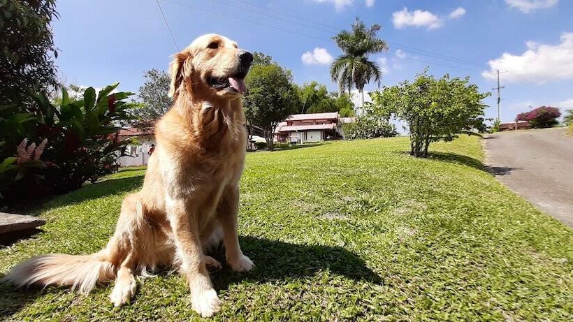 تختخواب و صبحانه Finca Hotel Santana