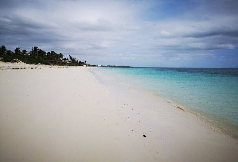 Coral Beach Hotel And Condominiums