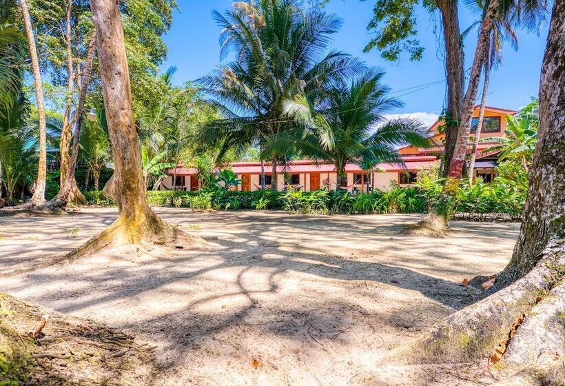 هتل Yucca Beachfront