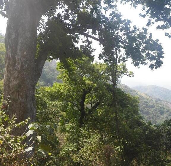 مسافرخانه Finca San Rafael   Cafe Y Cacao