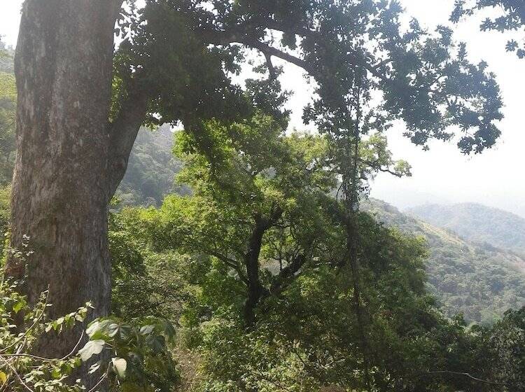 مسافرخانه Finca San Rafael   Cafe Y Cacao