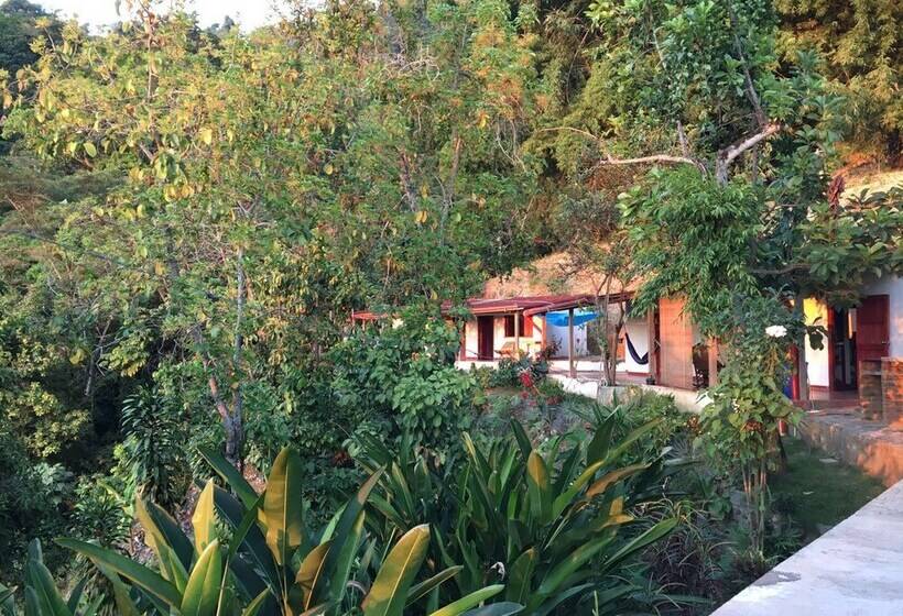 مسافرخانه Finca San Rafael   Cafe Y Cacao