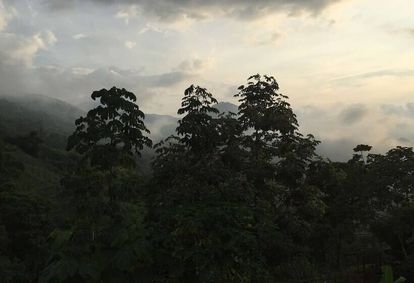 مسافرخانه Finca San Rafael   Cafe Y Cacao