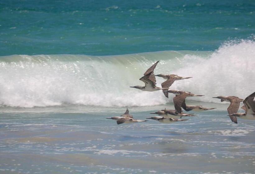 Hostal Galapagos By Bar De Beto