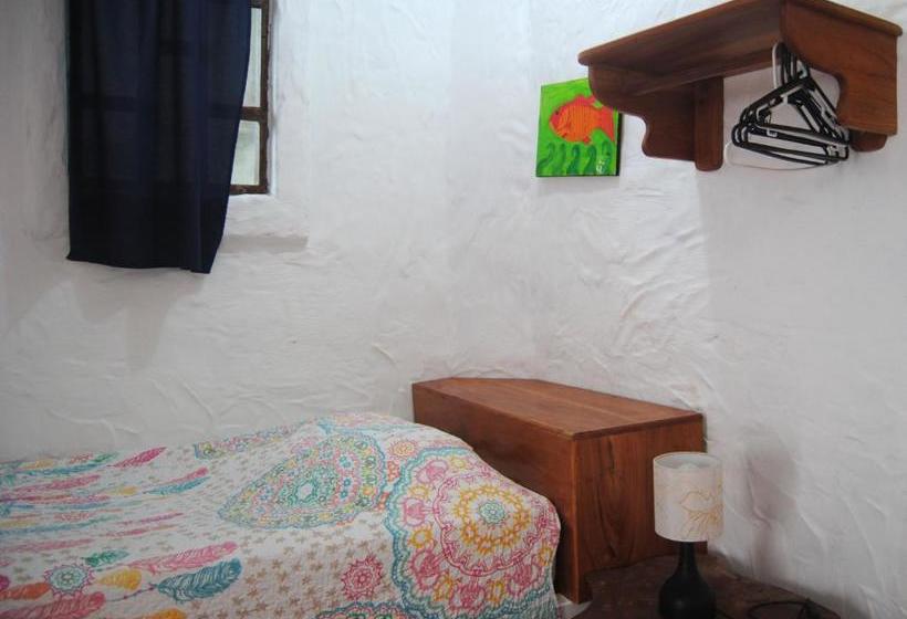 Hostal Galapagos By Bar De Beto