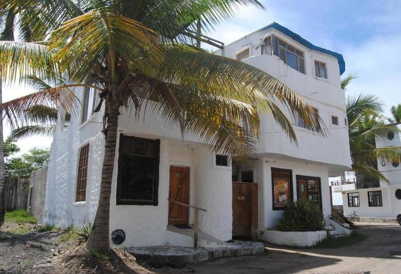 Hostal Galapagos By Bar De Beto