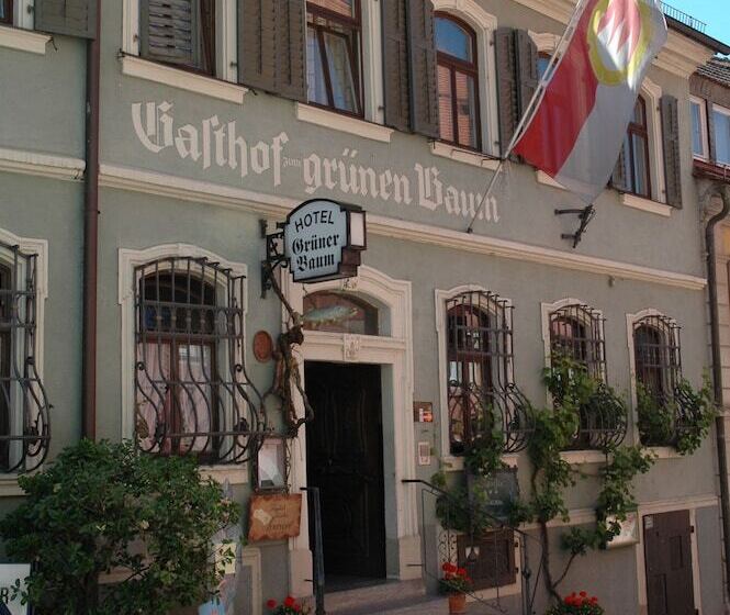 مسافرخانه Gasthof Grüner Baum