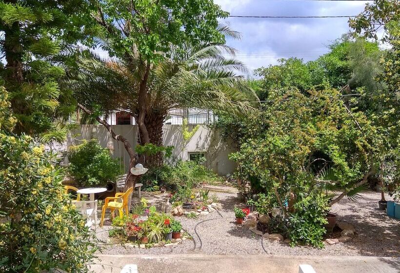 ホテル Dolphin Apartments