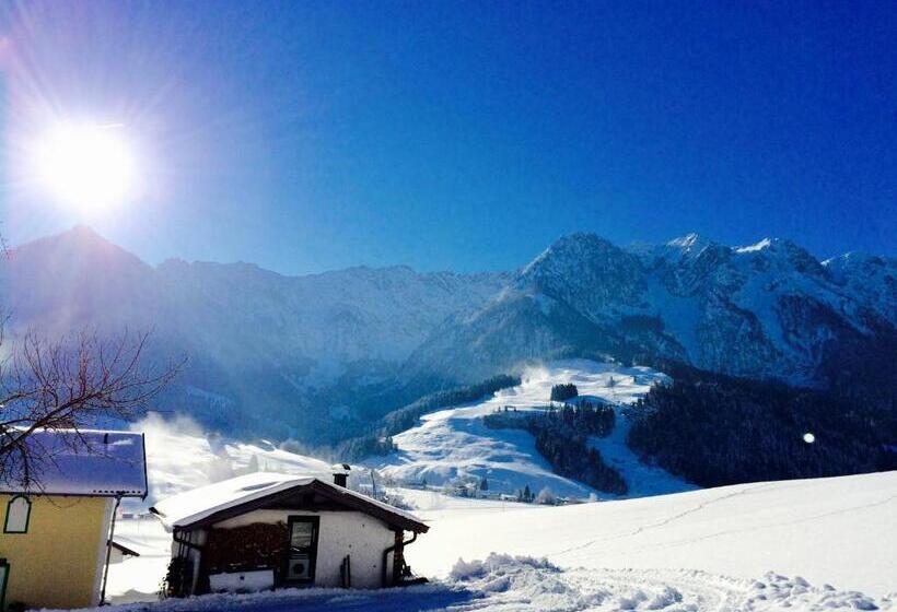 بنسيون Steindlhof In Walchsee