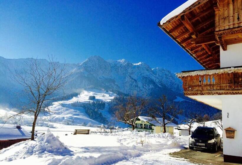 膳宿费 Steindlhof In Walchsee