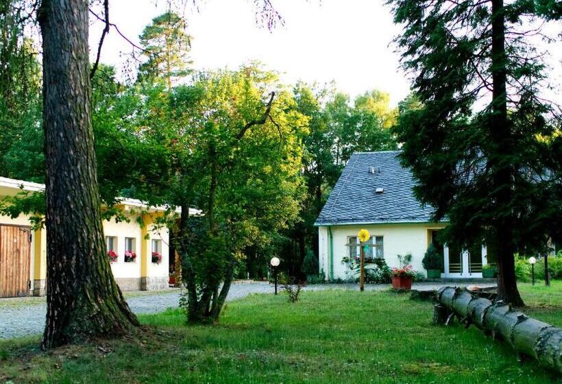 هتل Albrechtshof Gohrisch