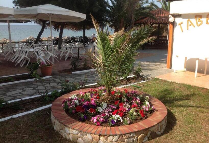 فندق Porto Matina