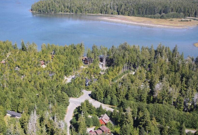 پانسیون Black Bear Guesthouse