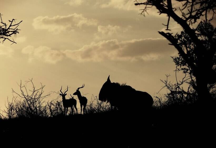 هتل African Spirit Game Lodge