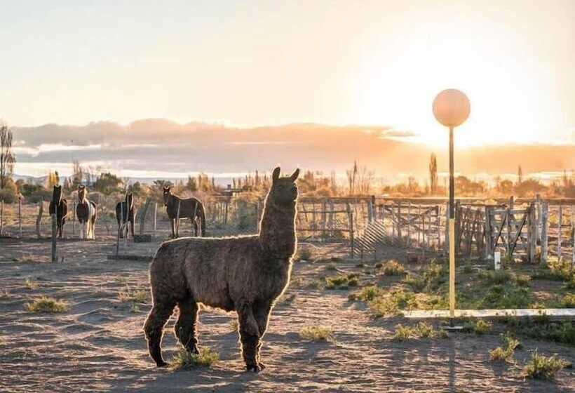 هتل Finca La Carmelita