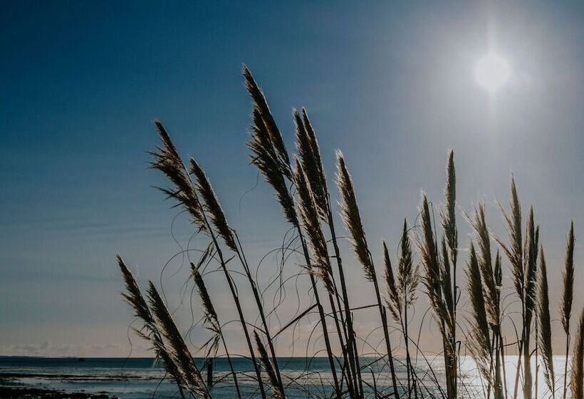 فندق The Wooden House   Room Only Accomodation