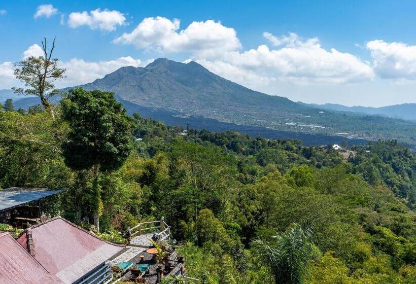 펜션 Tiing Bali Guest House Kintamani