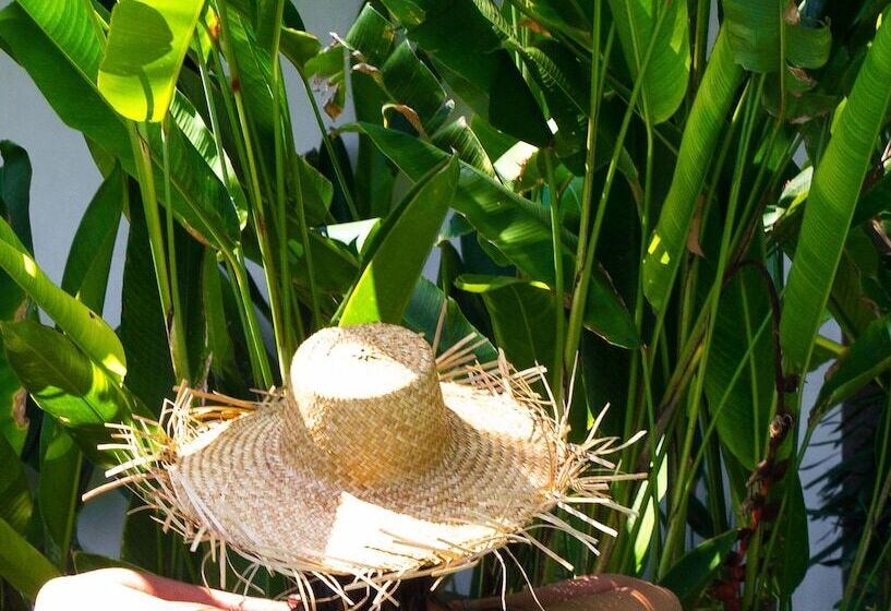 تختخواب و صبحانه The Mandana Villa Gili Air