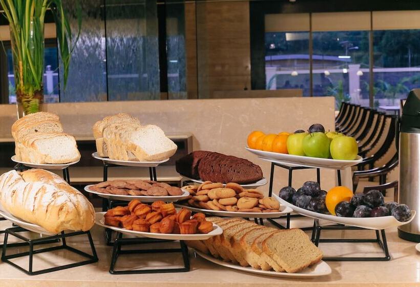 Bravia Hotel Niamey