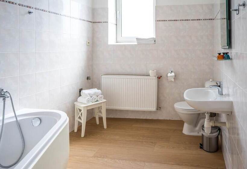 בית מלון כפרי U Labutě