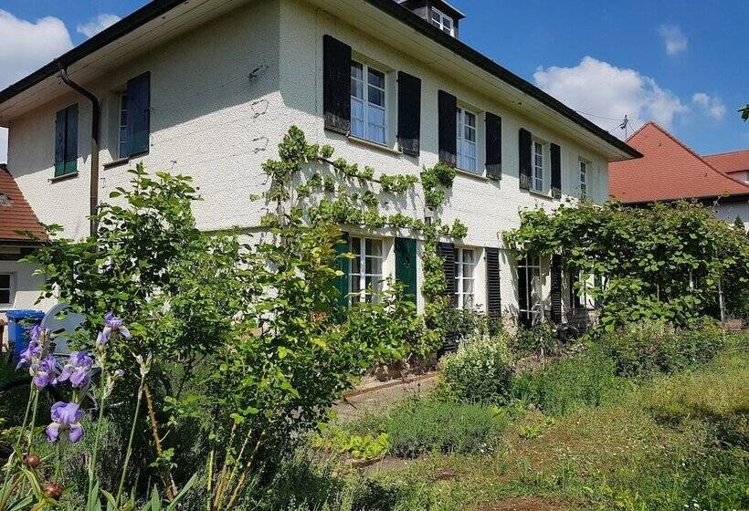 펜션 Gästehaus Lichdi