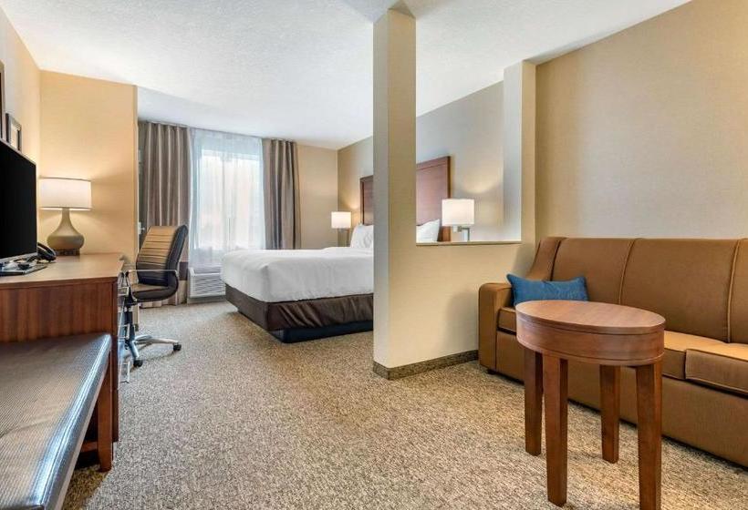 Отель Comfort Inn & Suites