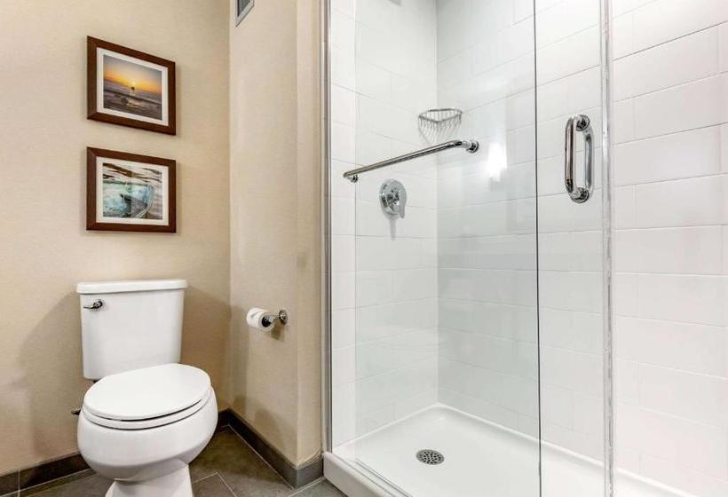 Отель Comfort Inn & Suites