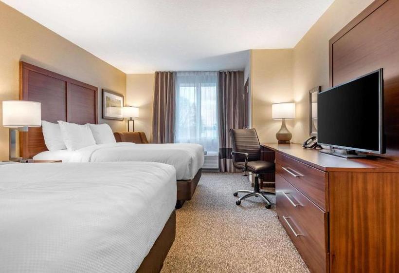 Отель Comfort Inn & Suites