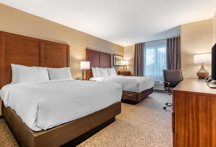 Отель Comfort Inn & Suites