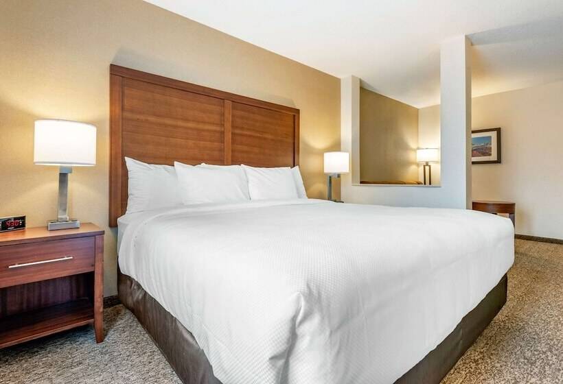 Отель Comfort Inn & Suites