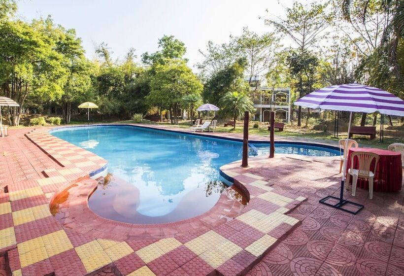 Jungle King Resort