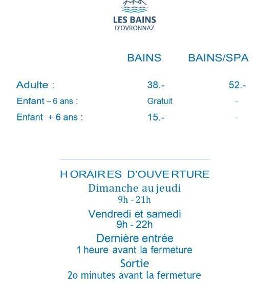 هتل Des Bains D Ovronnaz
