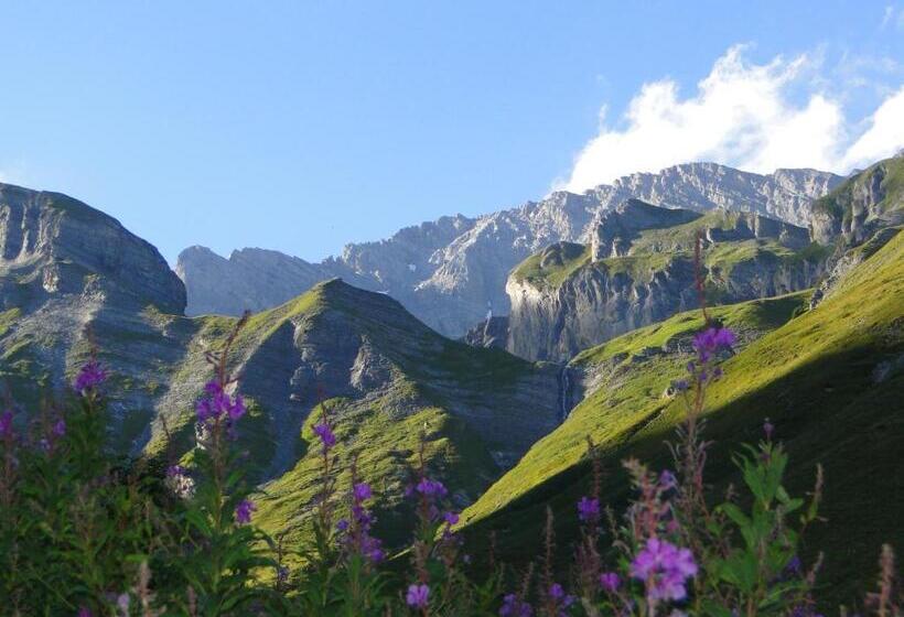هتل Des Bains D Ovronnaz