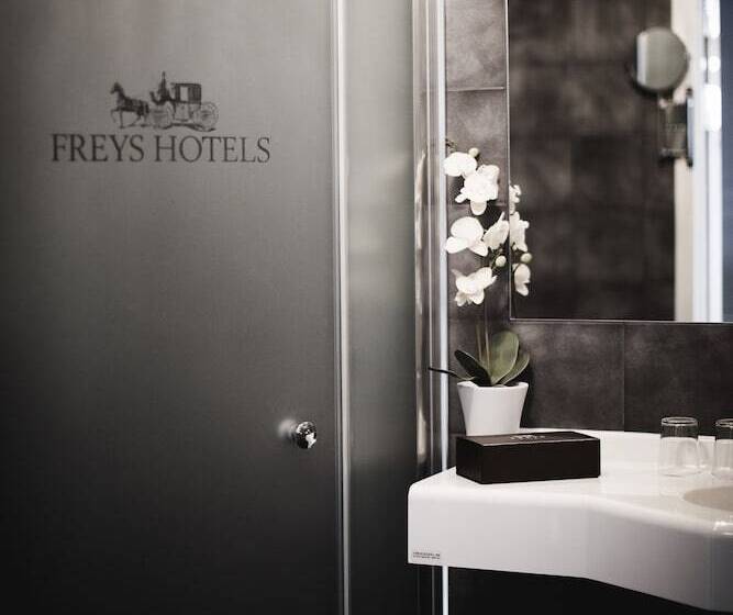 Fotos del hotel Freys Hotel:  42