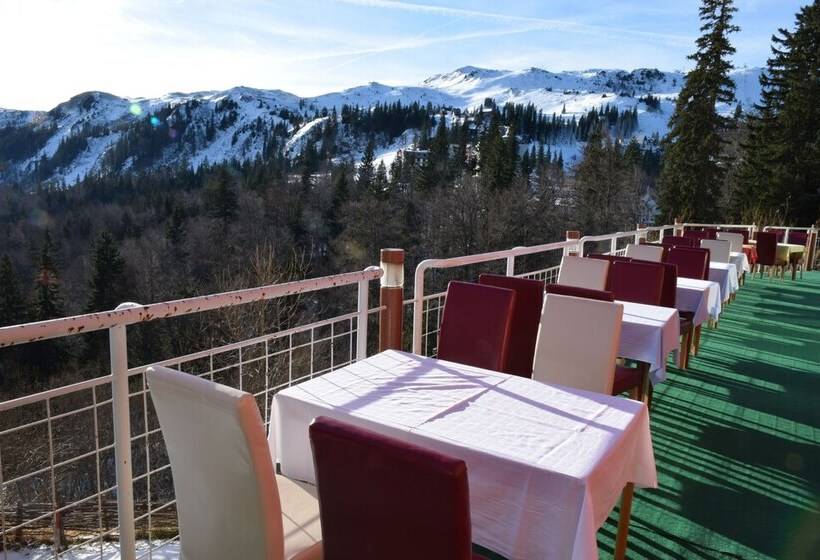 Bat Hotel Bistrica