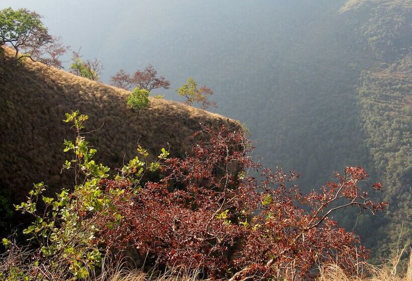 فندق Auranya The Mystical Himalayan Retreat