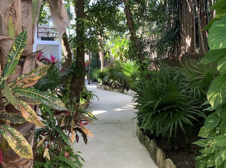 Nativa Hotel Tulum