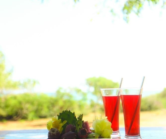 Отель Nil Sisila Beach Resort Yala