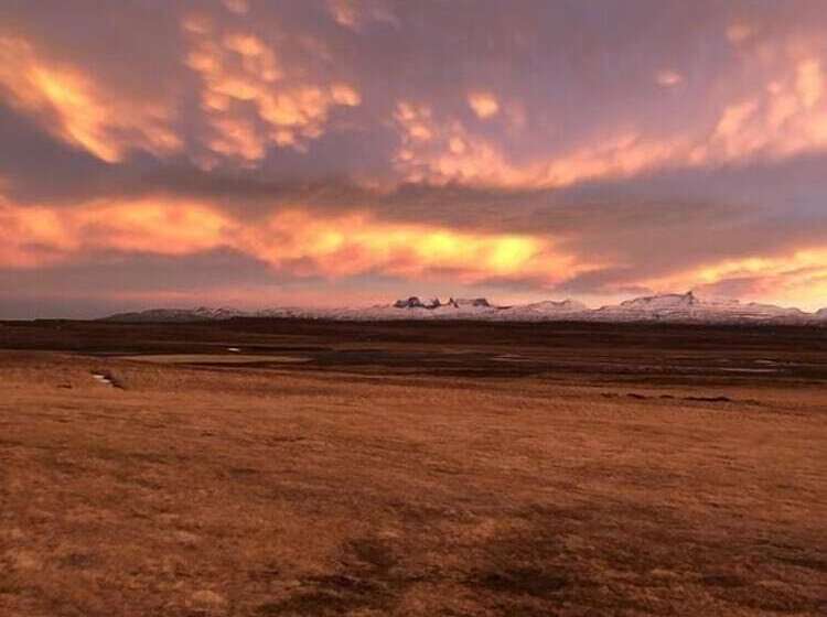 پانسیون Guesthouse Svartiskógur Egilsstaðir