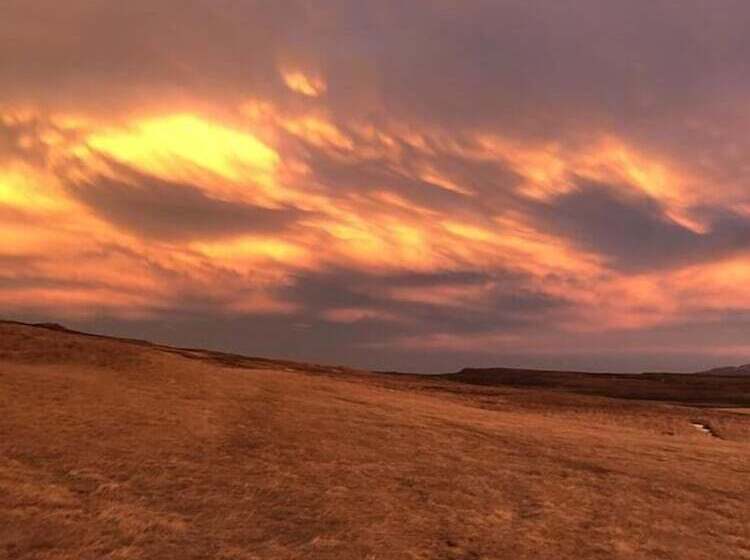 پانسیون Guesthouse Svartiskógur Egilsstaðir