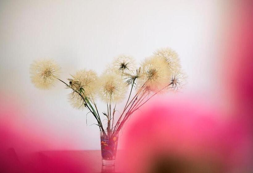 پانسیون Xenion Ioannina