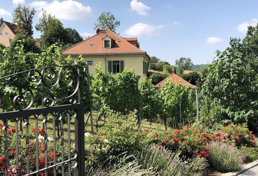 Rebenhaus Meißen