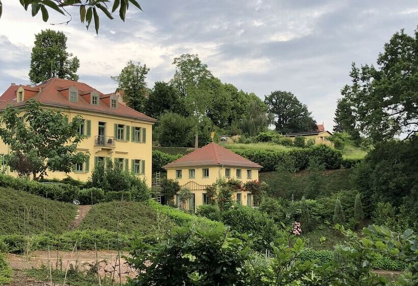 Rebenhaus Meißen