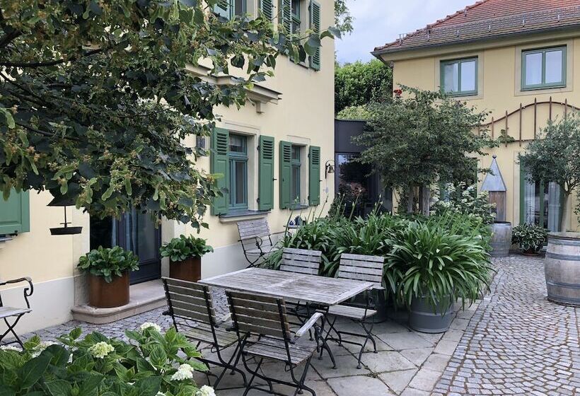 Rebenhaus Meißen