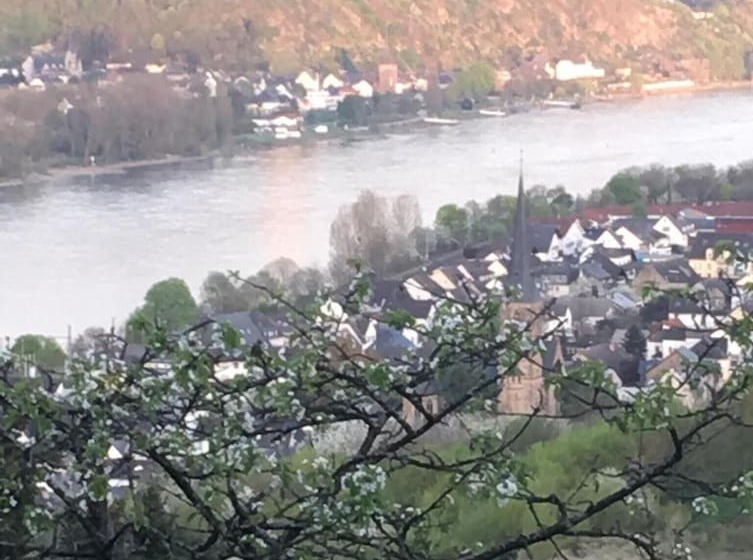 هتل Haus Mittelrhein
