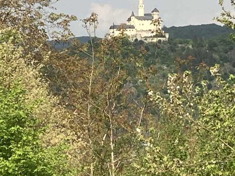 هتل Haus Mittelrhein