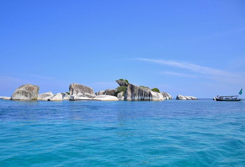 تختخواب و صبحانه Rock And Wreck Dive Resort