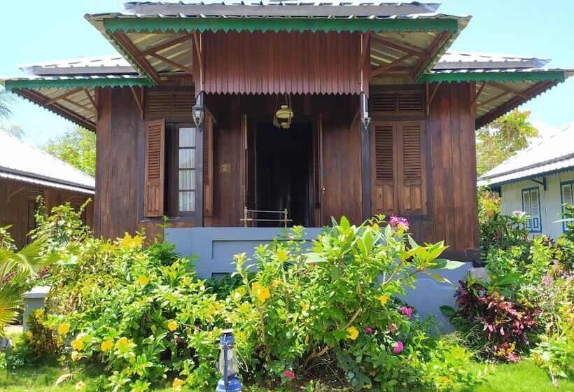 تختخواب و صبحانه Rock And Wreck Dive Resort