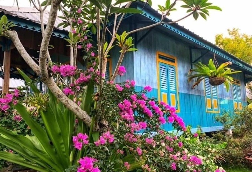 تختخواب و صبحانه Rock And Wreck Dive Resort