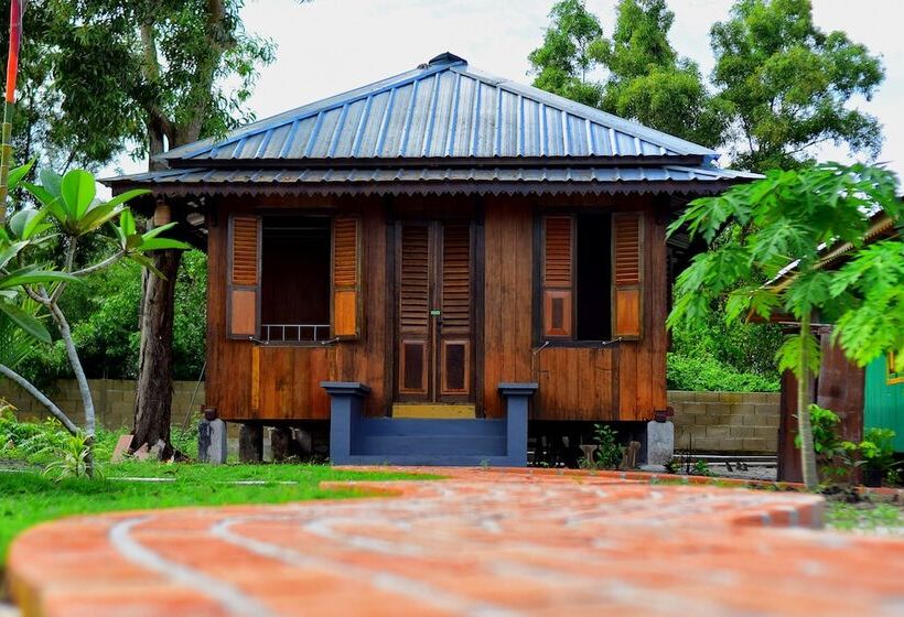 تختخواب و صبحانه Rock And Wreck Dive Resort